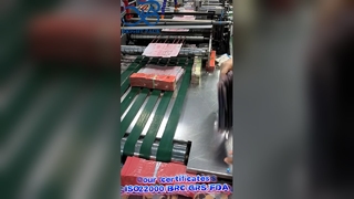 상표가 붙은 제조자를 위해 인쇄되는 아이 저항하는 세탁물 깍지 지퍼 부대 관례