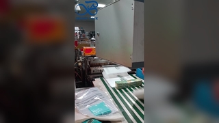 각자 Adh를 가진 티셔츠와 의류 포장을 위한 주문을 받아서 만들어진 로고 디자인 서리로 덥은 글라신지 종이 봉지