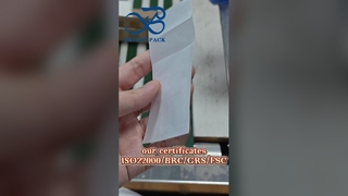 방진 글라신지 종이 봉지: 천 약국 및 브랜드용 맞춤 인쇄