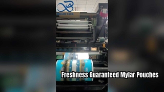 인쇄된 마일라 파우치 밀폐 식품 등급 재밀봉형 보관 파우치