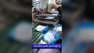 세탁 캡슐 비닐 봉투: 어린이 방지 누출 방지 B2B 맞춤 인쇄 안전 파우치