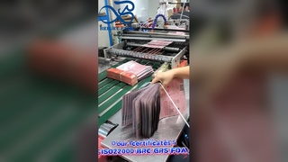 상표가 붙은 제작자를 위해 인쇄되는 아이 저항하는 세탁물 깍지 포장 부대 관례