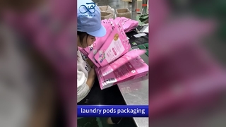 세탁 포드 플라스틱 지퍼 백: 아동 증명 방습 B2B 도매 맞춤