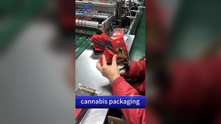 아동용 가방 도매업자: 미국 특허 B2B 준수 보안 맞춤형 인쇄 파우치