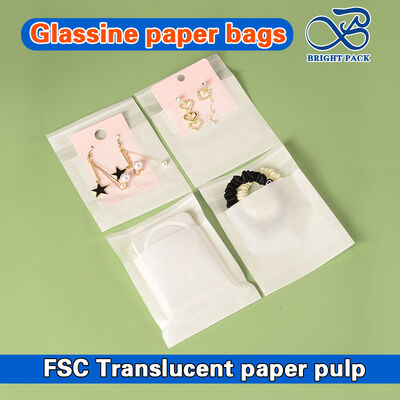 친환경 의류 포장용 맞춤형 생분해성 반투명 유리 종이 봉투