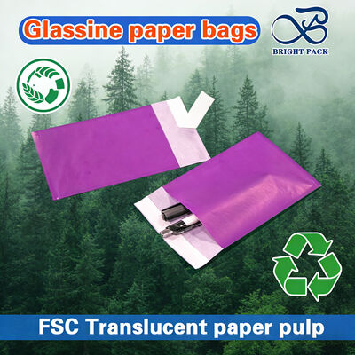 고투명도 및 맞춤형 사이즈 FSC 인증 글라신 종이 봉투 (럭셔리 의류 포장용)